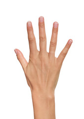 Fototapeta premium Woman hand showing number five.