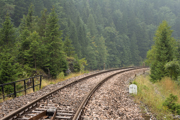 railway tracks in forest