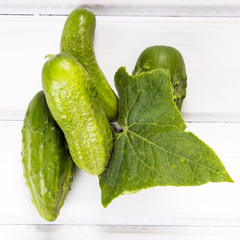 fresh organic cucumbers on a white wooden background.