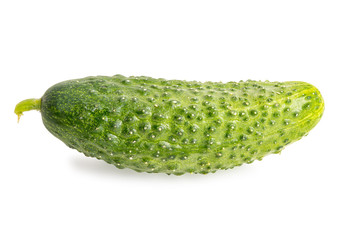 Medium size green ripe cucumber, isolated, clipping path