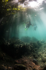 Sunlight and Snorkelers on Reef