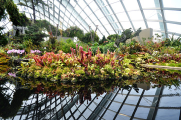 Cloud Forest at Gardens by the Bay in Singapore
