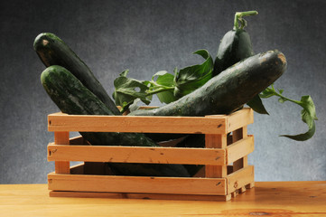 Cucumis sativus Komkommer خيار Cetriolo Pepino Gurke Uborka Վարունգ Cucumber キュウリ 黄瓜 Ogórek siewny Огурец обыкновенный Cetrioli Gurka