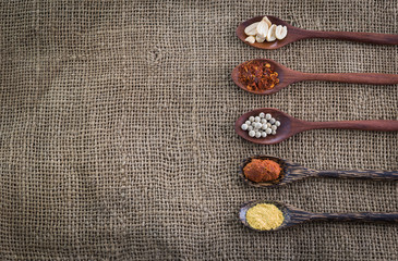 various spices on wooden spoons isolated on jute background