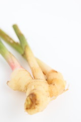 生姜