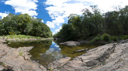Tranquil Forest Creek Pond Panorama