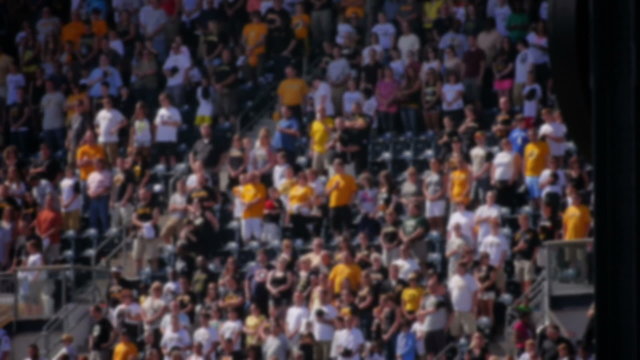 Defocused Stadium Crowd