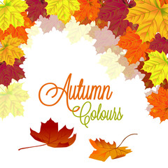 Autumn Background