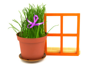 Composition with grass in the flowerpot and orange wooden window
