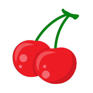 red cherry berries isolated illustration