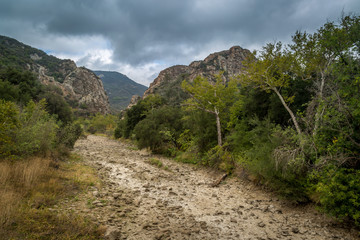 California Pacific Coast Highway
