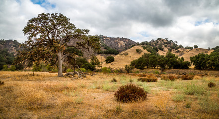 Obraz premium California Pacific Coast Highway 