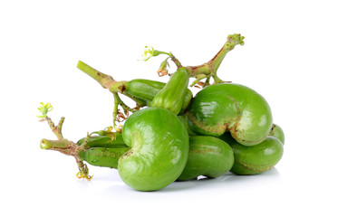raw cashew nut, Anacardium occidentale isolated on white backgro
