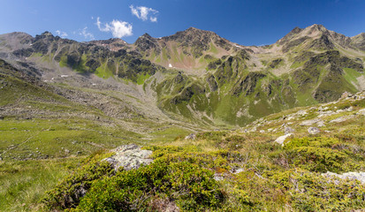 Alpages et sommets rocheux des Alpes