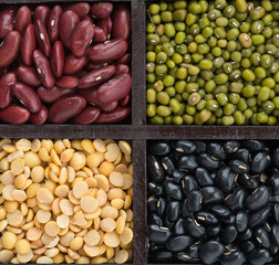 Mixture of beans in block