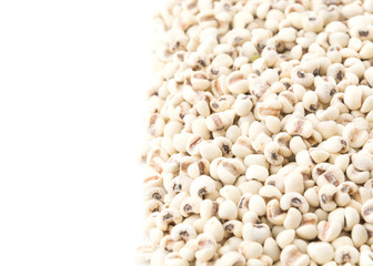 job's-tears of millet on white background