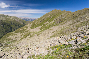 Pierrier et sommets rocheux des Alpes