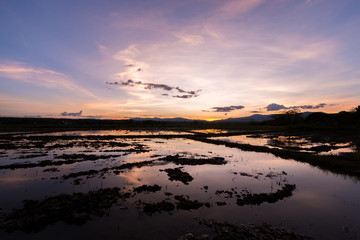 Fototapeta na wymiar Beautiful sunset reflected in water in the cornfield, chiang mai