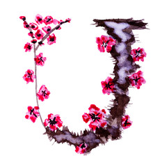 Floral alphabet. Letter U isolated on white background. Illustration