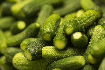Cucumbers gherkins