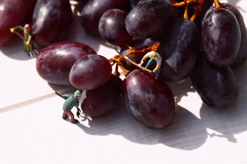 Miniature people picking red grapes.
Scale model miniature people picking red grapes from a bunch.