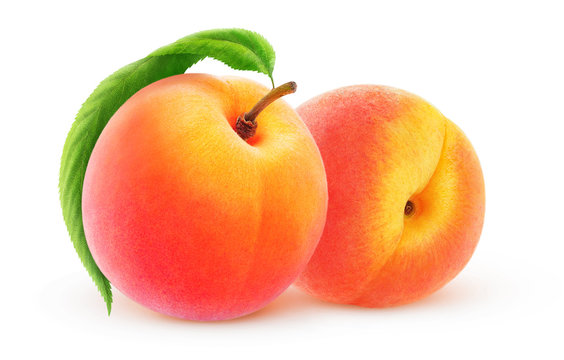 Two peaches isolated on white, with clipping path