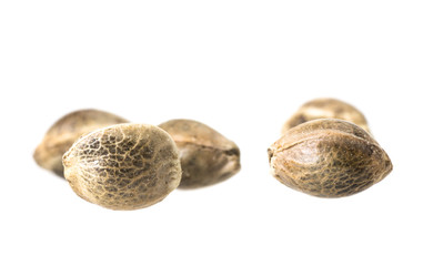 Close up macro photo of hemp seeds on white background