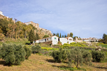 Fototapeta na wymiar City of Ronda and Andalusia Countryside