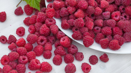 raspberries on a white background