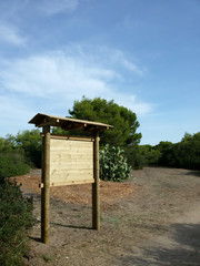 pineta
