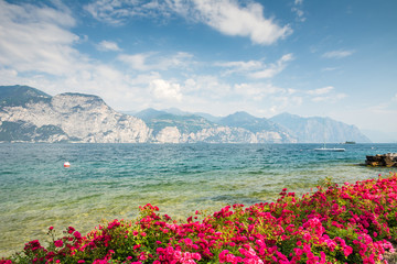 Fototapety  Kwiaty nad jeziorem Garda
