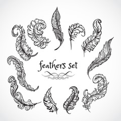 Feathers set. Collection of retro black and white hand drawn vector illustration. Card, print, postcard, poster, logo, tattoo