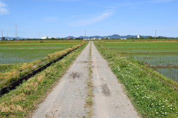 Obraz premium 農道と田園風景／山形県の庄内地方で、農道と田園風景を撮影した写真です。