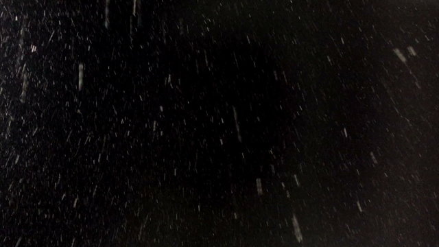 Real Falling Snow at Night