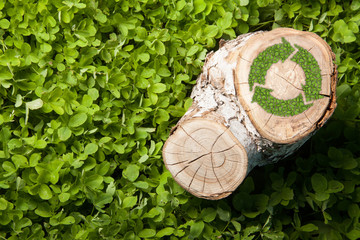 tree stump on the grass with recycle symbol, top view - obrazy, fototapety, plakaty