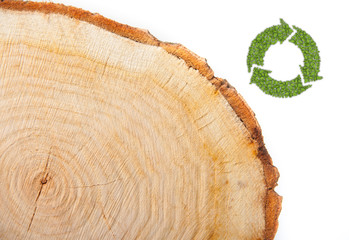 Cross section of tree trunk with recycle symbol, on white