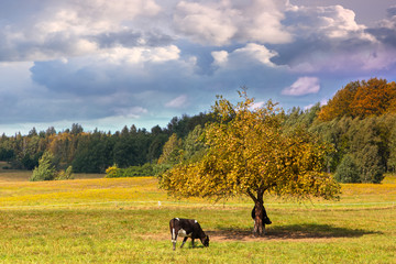 jesień na Warmii © Janusz Lipiński