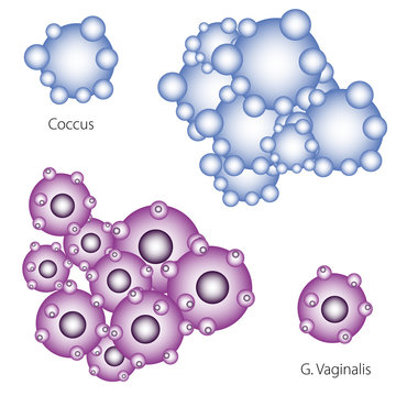 Bacteria vector illustration