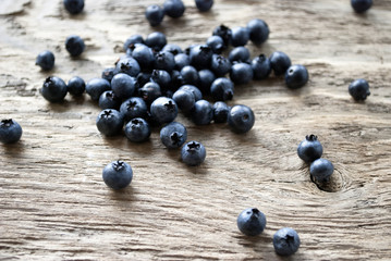 Blaubeeren, Heidelbeeren, Vaccinium myrtillus, auf Treibholz / Holz Brett