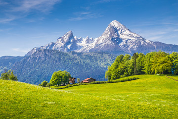 Idyllic landscape in the Alps with green meadows and farmhouse