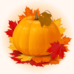 halloween pumpkin with fall maple leaves