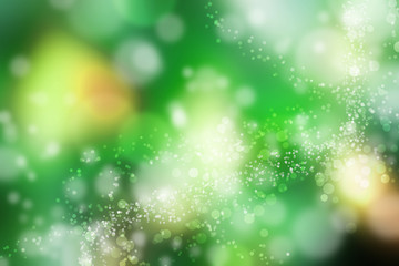 Natural forest bokeh