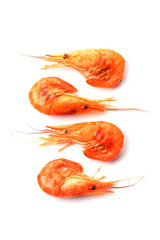 Shrimps isolated on white