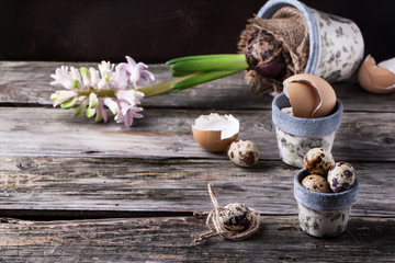 Pots with quail eggs and Hyacinthus flower