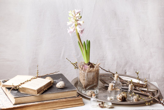 Easter interior with flower and old books