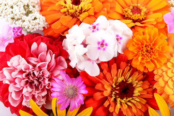 Fresh colorful flowers background