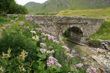 Fototapeta na wymiar Old stone bridge in Swiss Alps