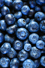 Heap of tasty ripe blueberries close up