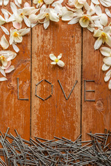 Petals and nails. The word love made from nails. abstract representation of love and relationships between man and woman