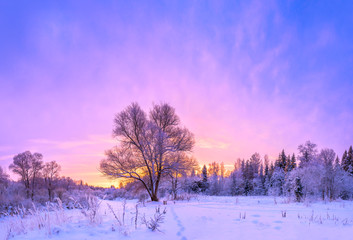 Obrazy  zimowy krajobraz panorama z zachodem słońca i lasem